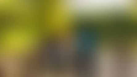 Morikami closes summer with Sunset Stroll