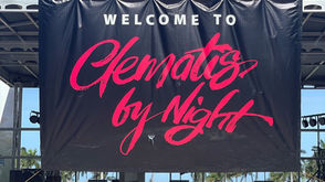 Killbillies next at Clematis by Night