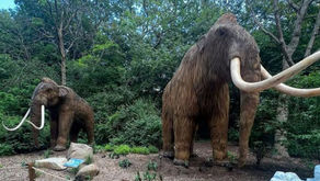 Walk among Mammoths and Cave Lions at Cox Science Center