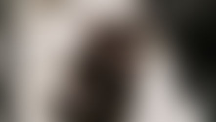 3 African crested porcupettes join the Palm Beach Zoo family