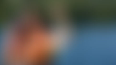 Learn about fishing, frogs, snakes and storms at Daggerwing in August