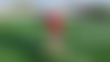 Wellington Wolverines' quarterback humble about high hopes