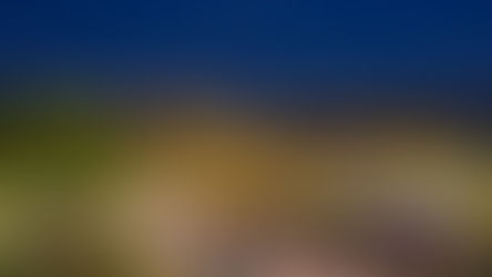 Boynton Beach Night Market promotes local businesses