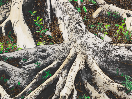 Cultural Council weaves fiber and innovation at 'Fiber Optics' exhibition