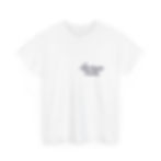 Thumbnail: Palm Beach County Brighter Side Heavy Cotton Tee
