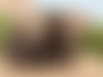 Tusk host ‘Safari Under the Stars’ benefit at National Polo Center in Wellington