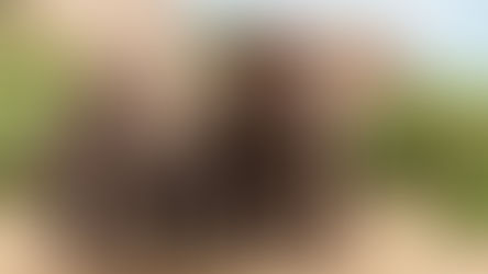 Tusk host ‘Safari Under the Stars’ benefit at National Polo Center in Wellington