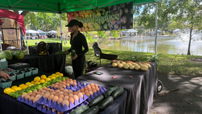Royal Palm Beach Green Market returns for new season
