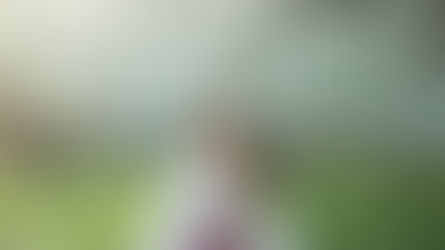 New Moon Casa Rituals at Mounts Botanical Garden