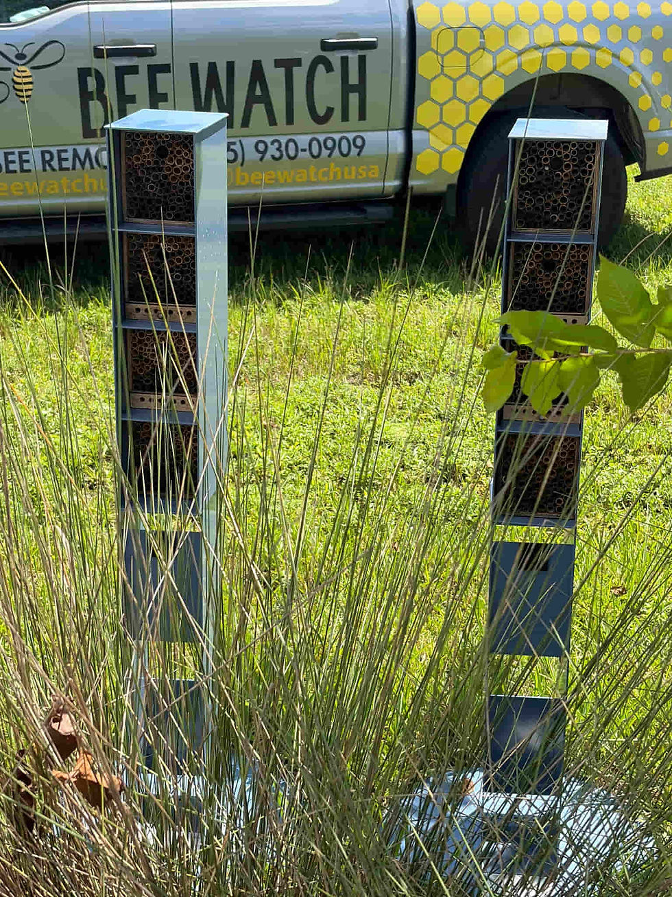 Wellington Bay brings beekeeping to senior living