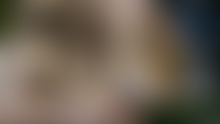 Norton Museum of Art Gala to celebrate Rembrandt Exhibition