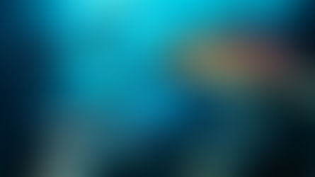 ‘Luminous Seas’ comes to the Palm Beach Photographic Centre