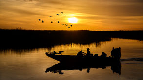 Florida looking to expand land conservation through Florida Forever