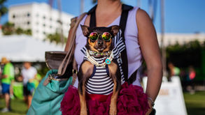 Peggy Adams hosts 21st Annual Walk for the Animals