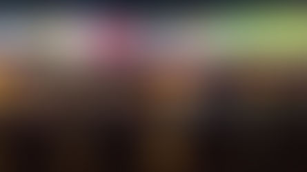 Seminole sports betting on hold