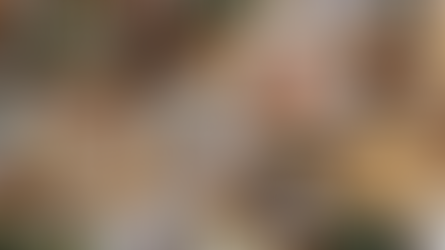 Novecento brings Argentinian-inspired fare to Delray Beach