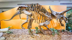 Dino Nite Drop-In brings prehistoric activities to Wellington