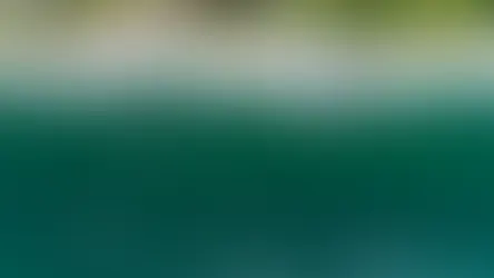 Florida sets tourism record