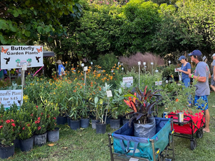 Mounts Fall Plant Sale offers rare finds