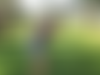 Quantum House Invitational tees off in celebration of 25 years of care