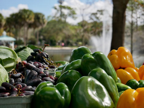 Royal Palm Beach Green Market returns for new season