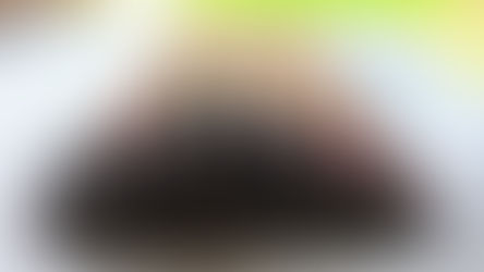 Archery for Beginners at Okeeheelee