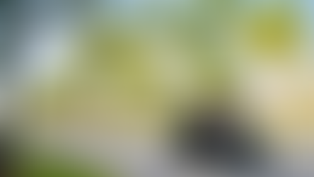 Wellington’s golf cart ordinance takes effect