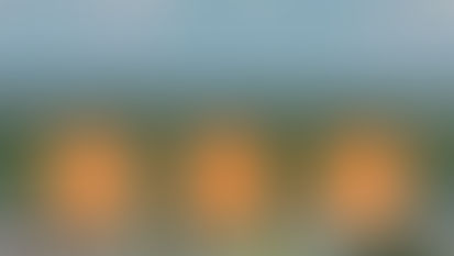 GoWellington mobile app is launched