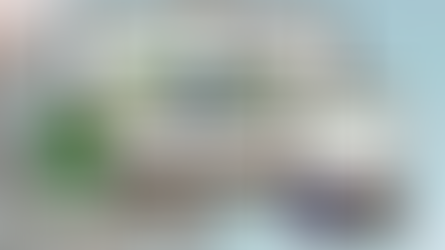 Why Palms West Journal ditched the print and is now all digital 