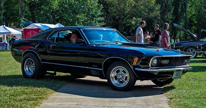 Hogs and frogs Day 2-017.jpg