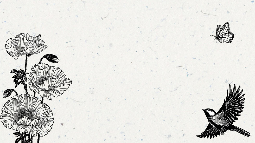 background 1.jpg