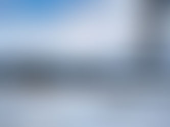 Life On The Ranch: Week 14 Summary