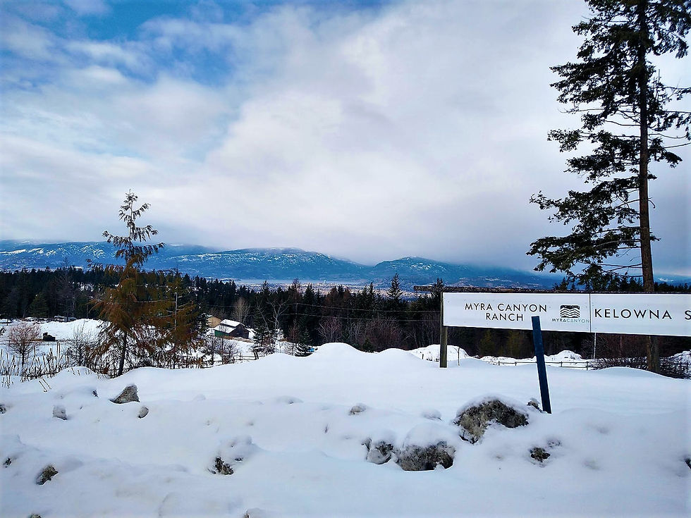 Life On The Ranch: Week 14 Summary