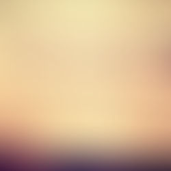 First Weekend In Van – Yes We Ate All Of The Food