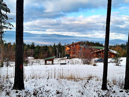 Life On The Ranch: Week 4 Summary