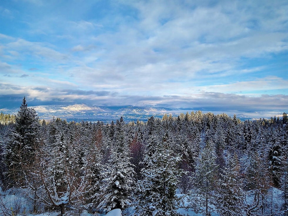 Life On The Ranch: Week 13 Summary