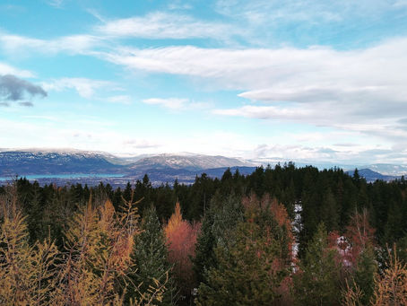 Life On The Ranch: Week 3 Summary