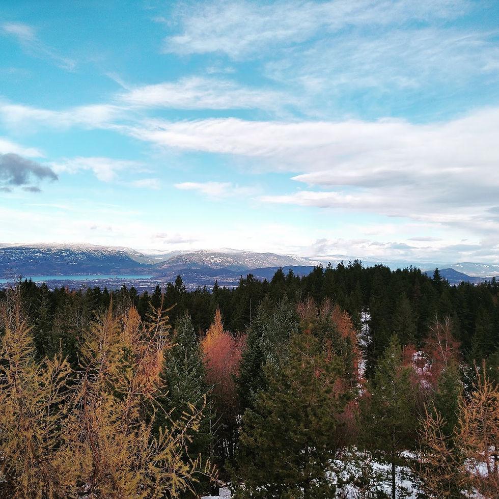 Life On The Ranch: Week 3 Summary