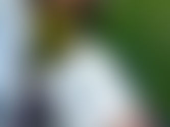 Breweries, Charcuteries And So Much More In Margaret River, WA