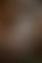 Hutan Kota by Plataran