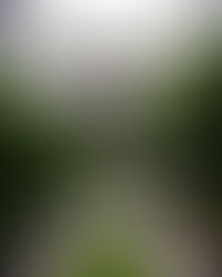 Aruntara Riverside Boutique Hotel