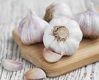 garlic-240_240x180_61437817280.webp