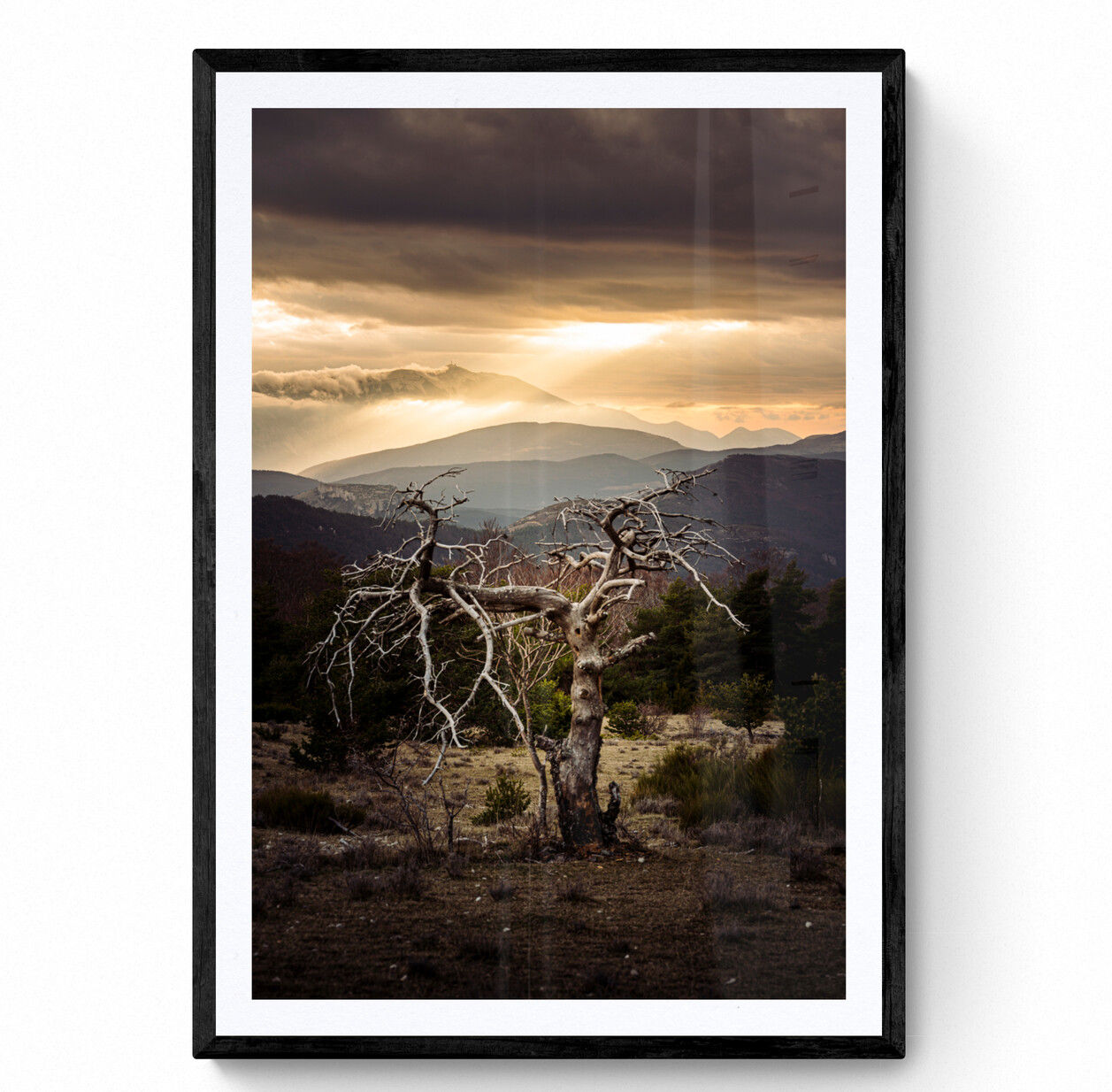 Ambiance sombre dans les baronnies