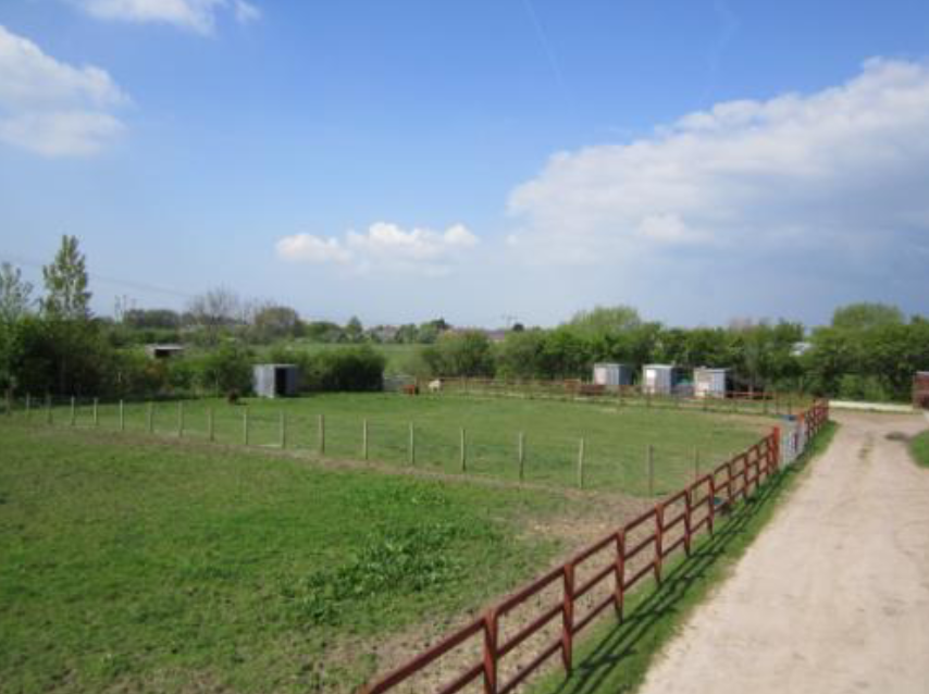 LAND & STABLES aclandbracewell