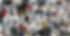 AUTOart Header.jpg