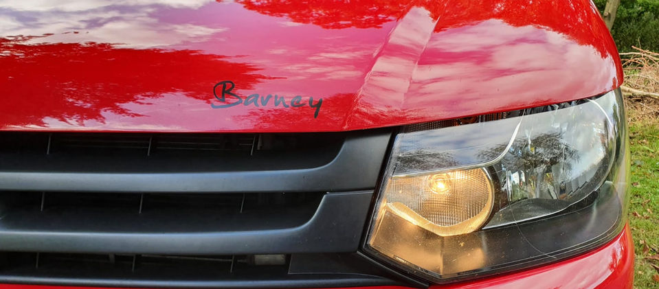 Barney Pictures (3).jfif