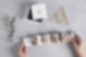 harmonijka (2)_0.jpg