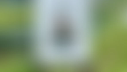 ニッコー株式会社様にお邪魔しました!