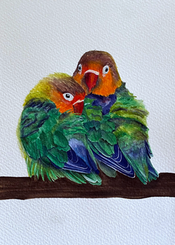 Lovebirds l 2024