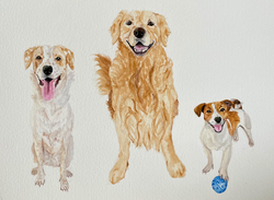 Custom Pet Portrait Trio